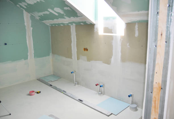 Best Mold Documentation for Insurance Claims  in Manchester, IA