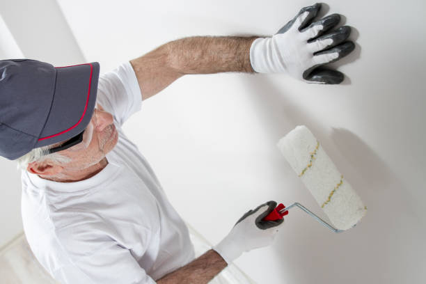 Best Emergency Mold Remediation  in Manchester, IA