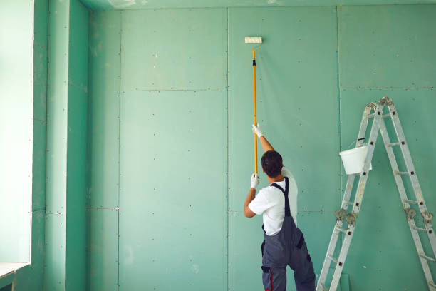 Best Residential Mold Inspection & Testing  in Manchester, IA