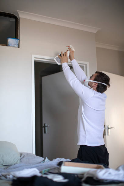 Environmental Consulting for Mold Prevention in Manchester, IA