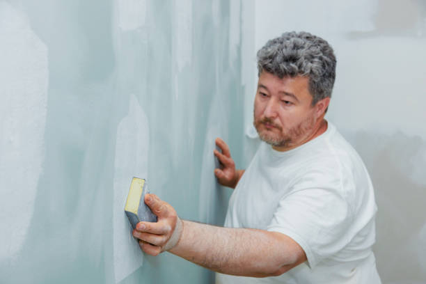 Best Black Mold Removal  in Manchester, IA
