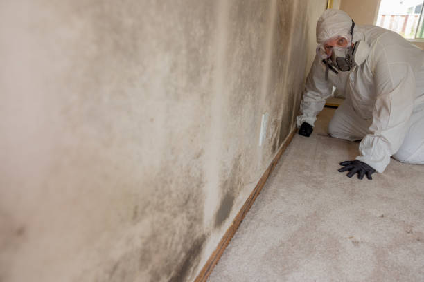 Best Biohazard Mold Removal  in Manchester, IA