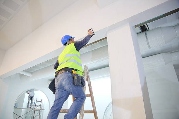 Best Mold Damage Restoration  in Manchester, IA