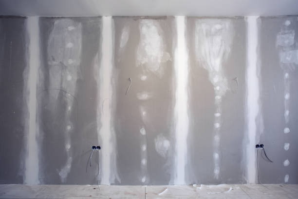 Best Airborne Mold Testing  in Manchester, IA